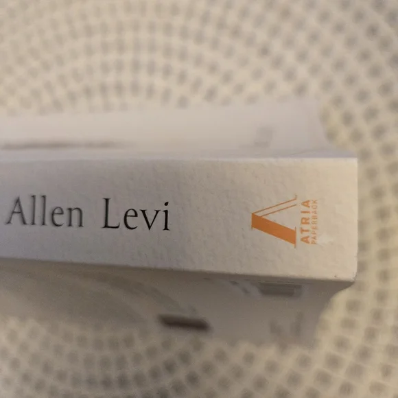 Theo of Golden: A Novel by Allen Levi - 2025 Paperback Book - Picture 5 of 10